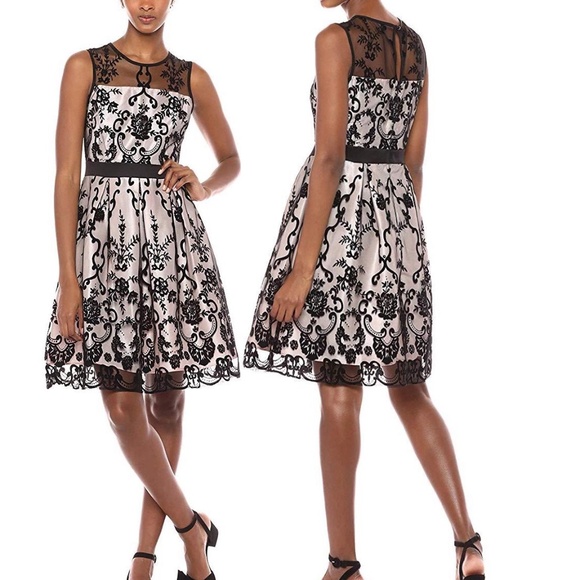 Women's Gabby Skye Lace  Metallic A-Line Cocktail Dress Black Blush 14 - Picture 1 of 17